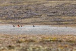 230827b_Blomesletta_100_D