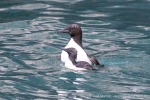 230831c_Alkefjellet_24_D