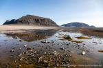 230903a_Phippsoya_069_D