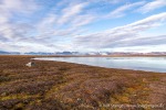 230904a_Worsleyneset_002_D