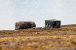 230904a_Worsleyneset_090_D