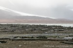 230906b_Poolepynten_21_D