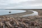 230830a_Crozierpynten_016_D