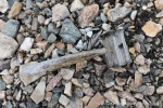 230830a_Crozierpynten_103_D