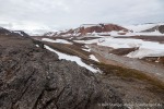 b8_Eolusneset-18Juli10-20_D