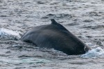 231108a_Kvaenangen_19_D