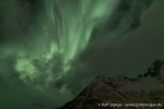 231108b_Reinfjord_42_D