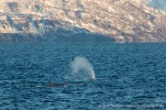 231109b_Kvaenangen_17_D
