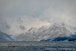 231110a_Spildra_110_D