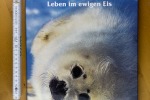 IMG_0586_D