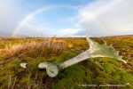 160922a_Sandefjordneset_34_D