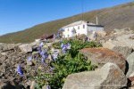 230717b_Colesdalen_22_D