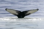 230807e_Billefjord_14_D