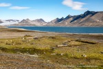 230808a_Trygghamna_24_D