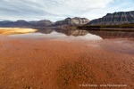 f7r_Coraholmen_17Aug13_232_D