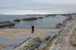 160715a_Daudmannsodden_104_D