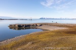 210910a_Farmhamna_212_D