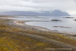 220808b_Daudmannen_103_D