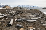 230607a_Eidembukta_27_D