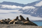 230809b_Sarstangen_36_D