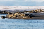 230922a_Eidembukta_120_D