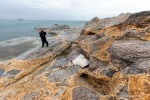220604b_Blomstrandhalvoya_40_D