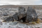 220913a_Blomstrandhalvoya_014_D
