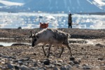 230705c_Ossian-Sarsfjellet_114_D