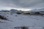 230921c_Innerholmen_080_D