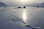 240416b_Tunabreen_204_D