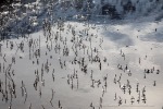 240423a_Oksfjord_20_D