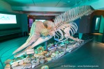 240425a_Tromsoe_053_D