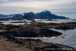 240426b_Andenes_40_D