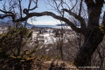 240427c_Digermulen_017_D