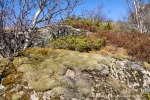 240427c_Digermulen_022_D