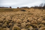 240430a_Engelsoya_02_D
