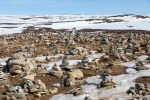 240502b_Polarsirkel_28_D