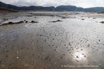 240503a_Mjelle_113_D