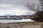 240503b_Kjerringoy_03_D