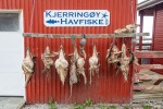240503b_Kjerringoy_10_D