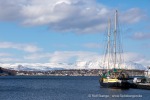 240422a_Alta_04_D