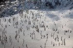 240423a_Oksfjord_20_D