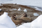 240524a_Sarstangen_08_D