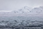 240526b_St-Jonsfjord_11_D