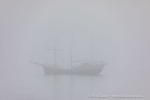 240603a_Hamiltonbukta_114_D