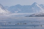 240603d_Klinckowstromfjord_05_D
