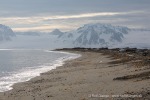 240606b_Sarstangen_05_D