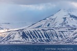 240531c_Isfjord_14_D