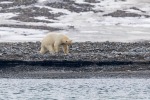 240601a_Engelskbukta_05_D