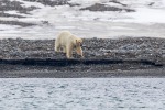 240601a_Engelskbukta_08_D